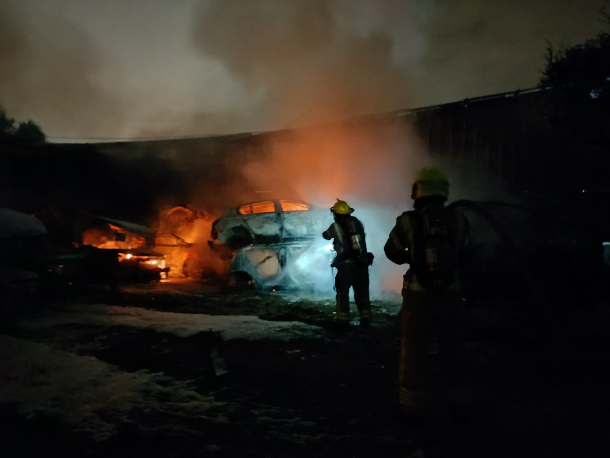 WhatsApp Image 2024-01-10 at 19.22.19.jpeg